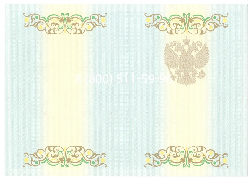 Купить Диплом бакалавра 2012-2013 годов в Назрани Купить Диплом бакалавра 2012-2013 годов в Назрани