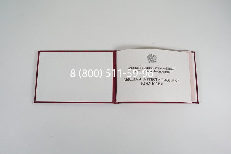 Диплом доктора наук 1995-2006 года в Назрани Диплом доктора наук 1995-2006 года в Назрани