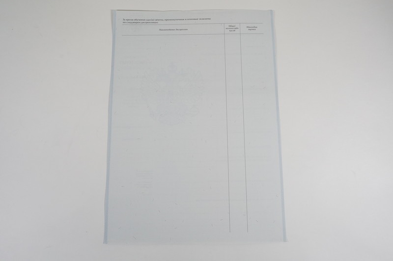 Диплом о начальном образовании 2007-2009 годов в Назрани Диплом о начальном образовании 2007-2009 годов в Назрани