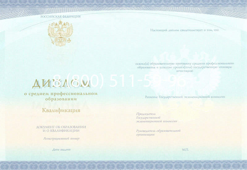 Купить Диплом колледжа (Спецбланк) 2014-2024 года в Назрани Купить Диплом колледжа (Спецбланк) 2014-2024 года в Назрани